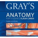 Gray’s Anatomy for Students Flash Cards, 3rd Edition چاپ رنگی