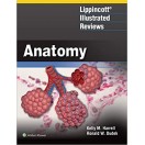 Lippincott® Illustrated Reviews: Anatomy (Lippincott Illustrated Reviews Series) First, North American Edition