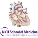 Comprehensive Cardiology Seminar and Board Review Course (NYU) 2015