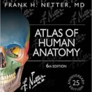 Netter’s Atlas of Human Anatomy - 6th Edition تمام رنگی